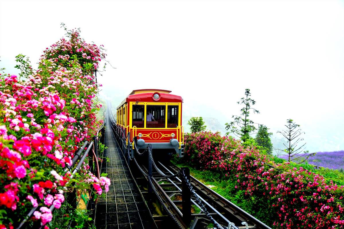 Tàu hỏa leo núi Mường Hoa đưa du khách băng qua thung lũng Mường Hoa hùng vĩ.