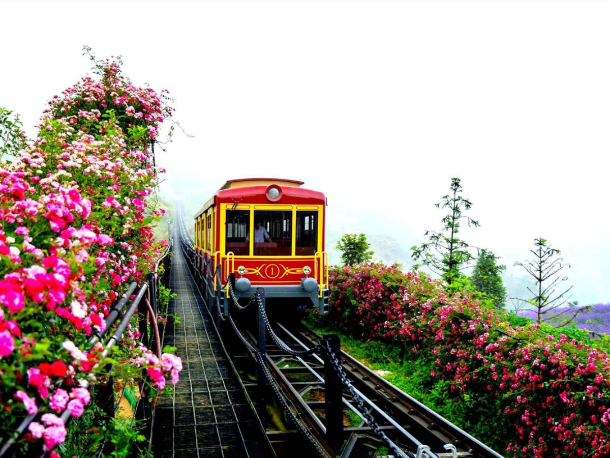 Bạn sẽ xuất phát bằng tàu hỏa Mường Hoa, tuyến tàu leo núi dài nhất Việt Nam hiện nay.