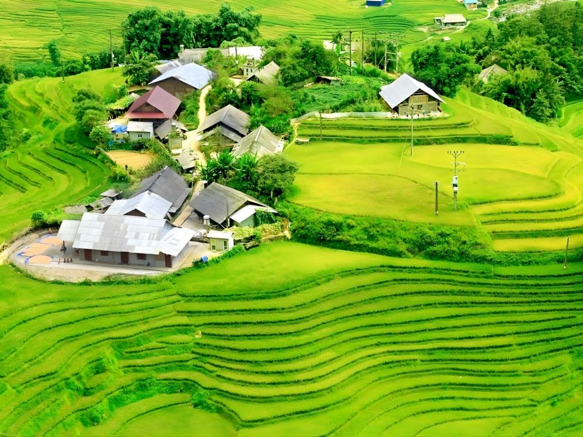 Sa Pa tháng 9 hấp dẫn với mùa lúa chín dần chuyển sang màu vàng óng.