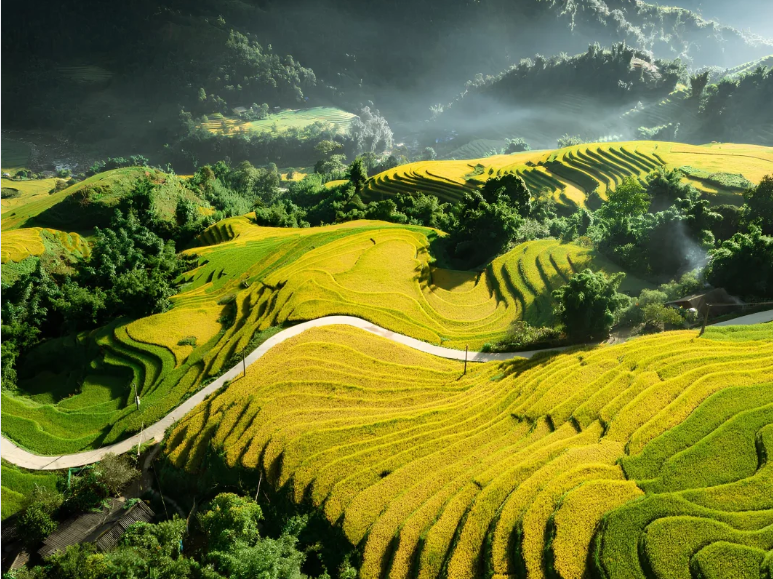 Lao Chải – Tả Van mang đến cho du khách cơ hội hòa mình vào nhịp sống bản địa chậm rãi và chân thực.