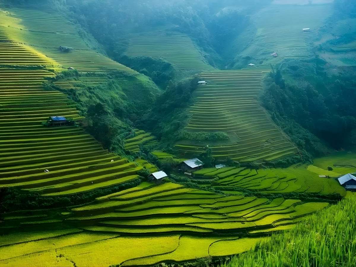 Sa Pa và các bản làng vùng cao hiện lên yên bình và thơ mộng.