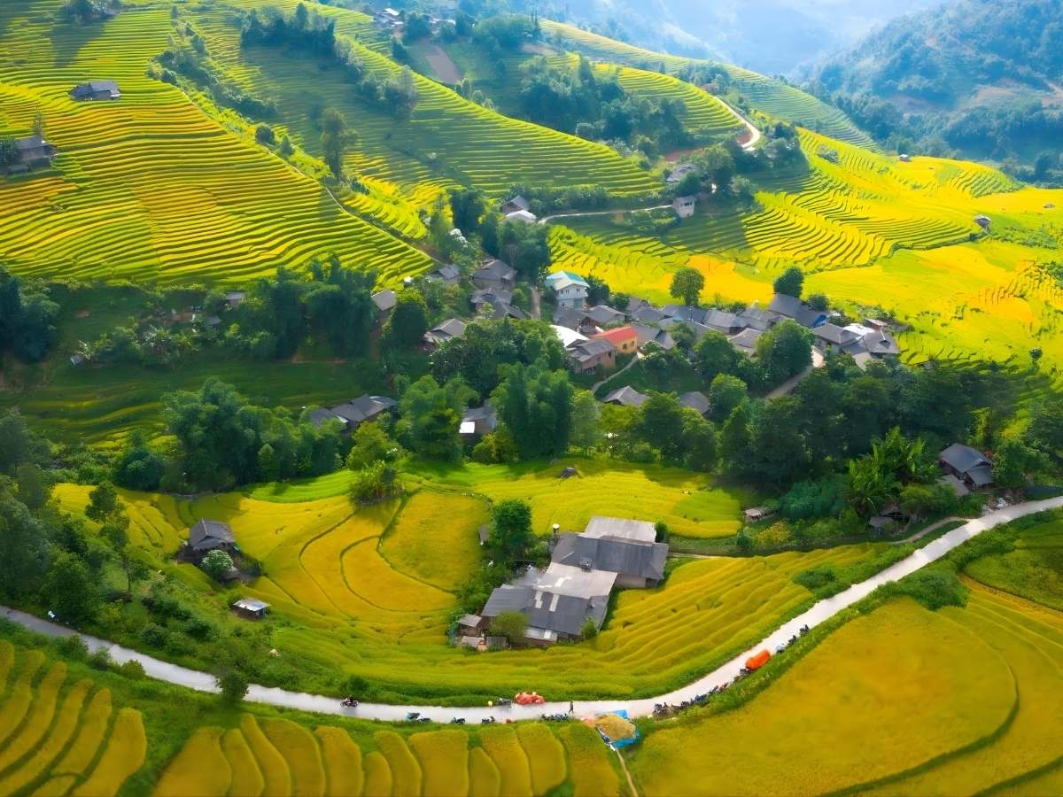 Ruộng bậc thang mùa lúa sớm vàng nhẹ tô điểm bản làng.