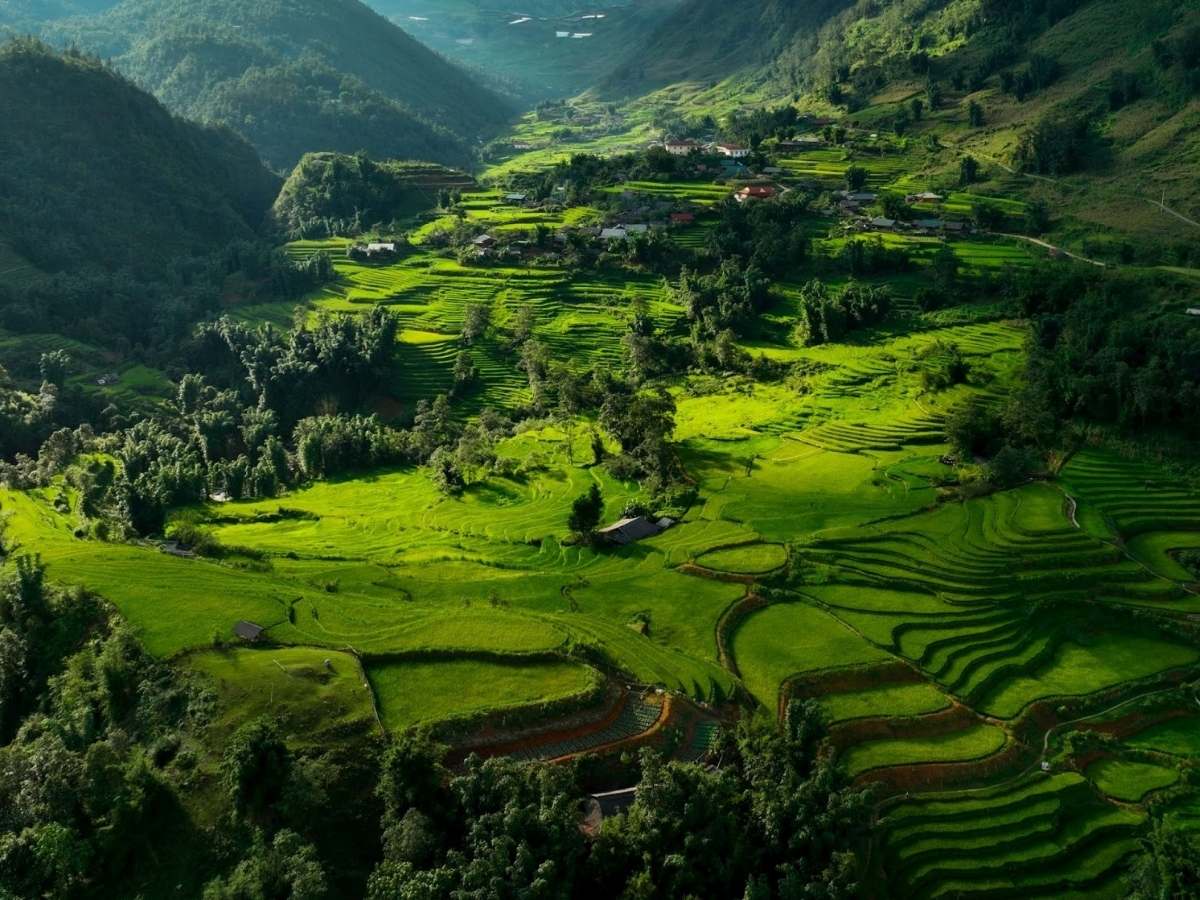 Cảnh sắc Tây Bắc tháng 8 nổi bật với màu xanh của lúa non và núi rừng hùng vĩ.