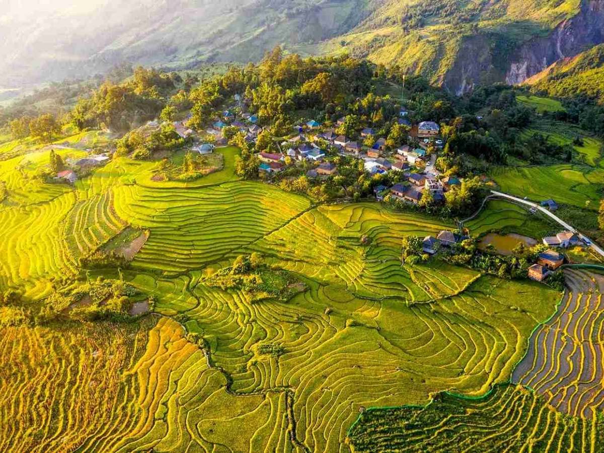 Du khách đến Tây Bắc vào đầu tháng 9 để chiêm ngưỡng trọn vẹn sắc vàng lúa chín.