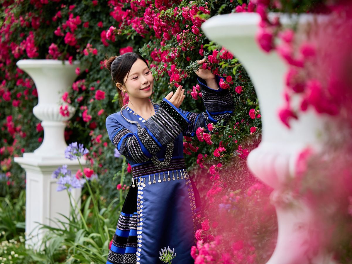 Sun World Fansipan Legend mang đến tầm nhìn núi rừng hùng vĩ.