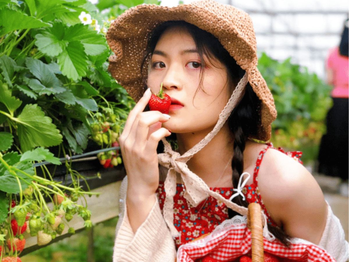 Quả dâu Sa Pa có màu sắc đẹp và hương vị đậm đà.