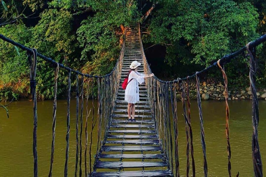 Cầu Mây Sapa hiện lên mộc mạc và thơ mộng giữa thung lũng Mường Hoa, nơi từng bước chân như chạm vào vẻ đẹp nguyên sơ của núi rừng Tây Bắc. 