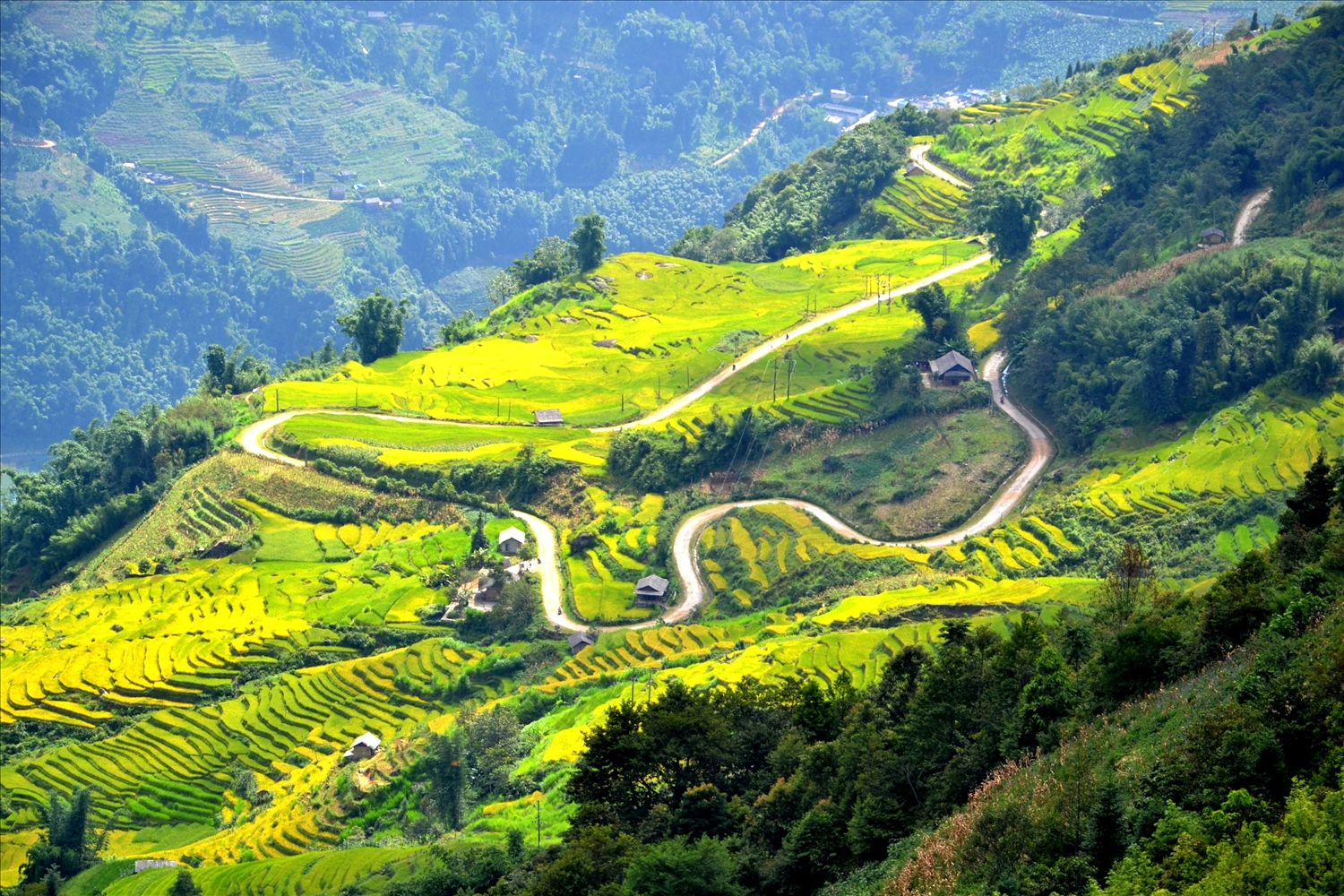 Ngải Thầu là một trong những điểm săn mây lý tưởng tại Y Tý. 