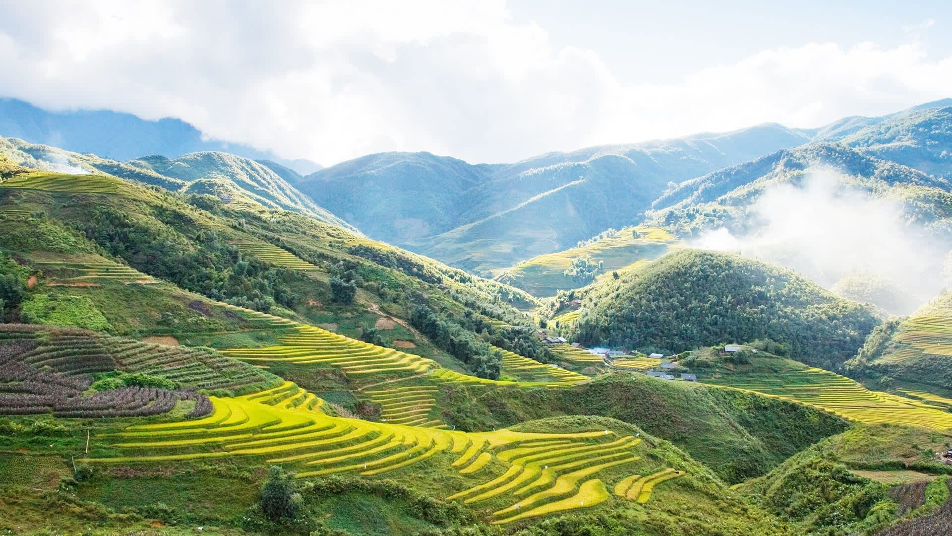 Hành trình du lịch Sa Pa Y Tý 2 ngày 1 đêm là lựa chọn của nhiều bạn trẻ đam mê khám phá. 