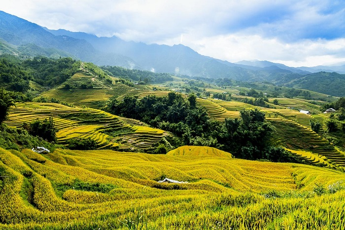 Thung lũng ruộng bậc thang Thề Pả. 