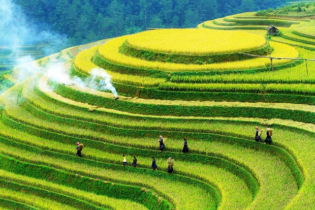Mù Cang Chải là điểm đến được nhiều du khách kết hợp trong chuyến du lịch Sa Pa.