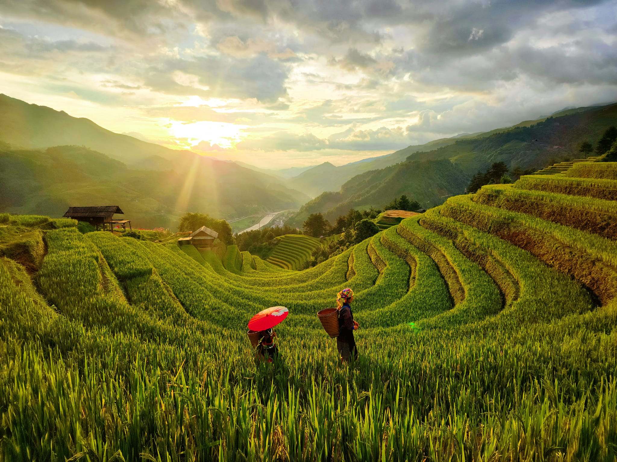 Vẻ đẹp mê hoặc của các triền ruộng bậc thang tại Mù Cang Chải.