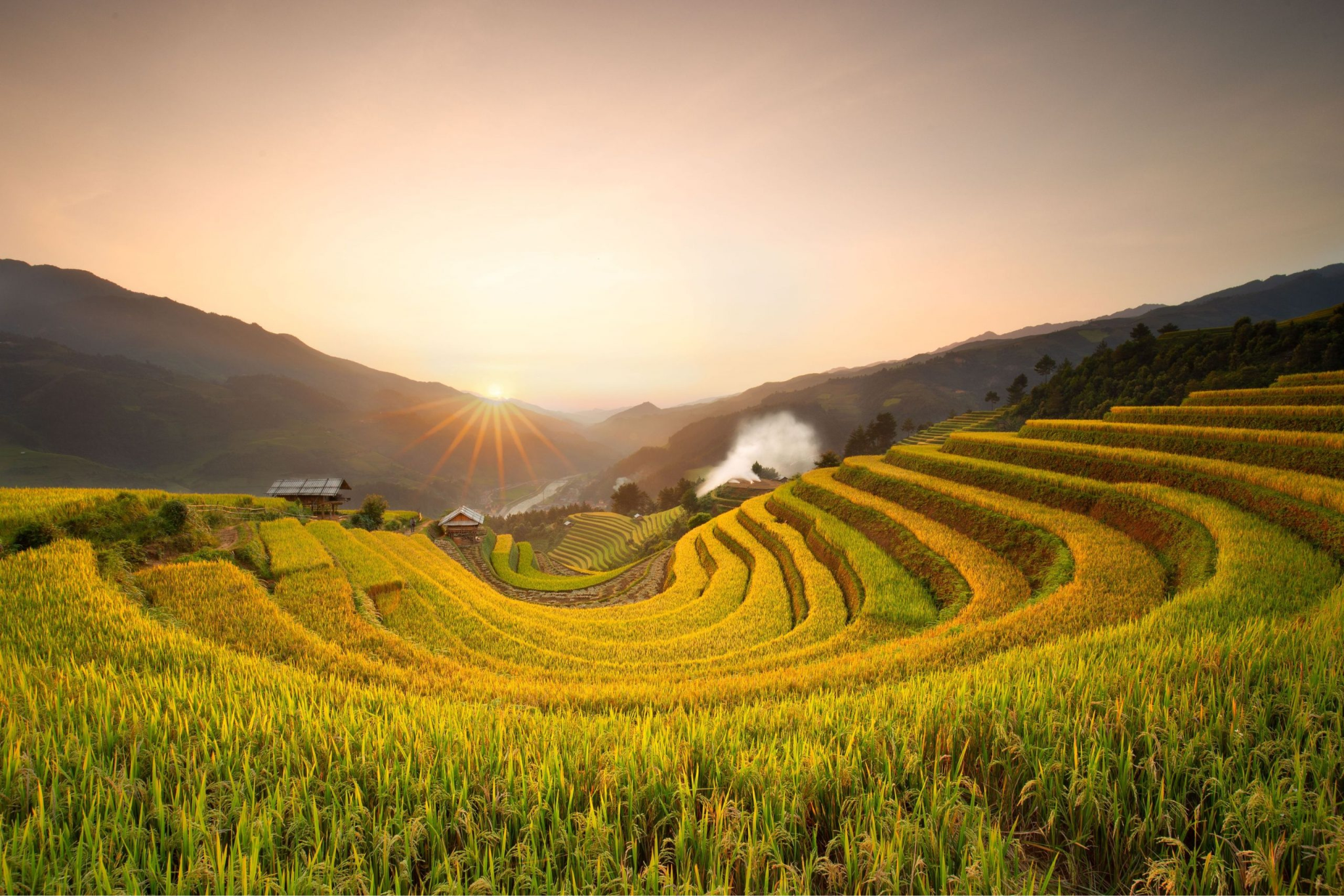Ruộng bậc thang mang hình dáng Móng Ngựa đặc trưng tại Mù Cang Chải.